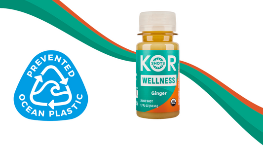 Introducing KOR's Beach to Bottle Initiative